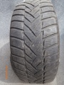 SZ0123 (2)